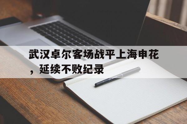 关于武汉卓尔客场战平上海申花，延续不败纪录的信息